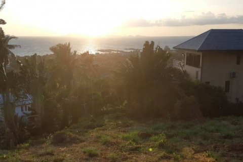 Земельный участок в Самуи, Таиланд  № 116757 - фото 5