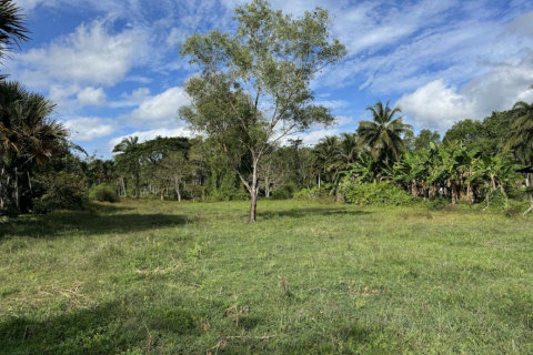 Земельный участок в Пхукете, Таиланд 1422м2  № 158150