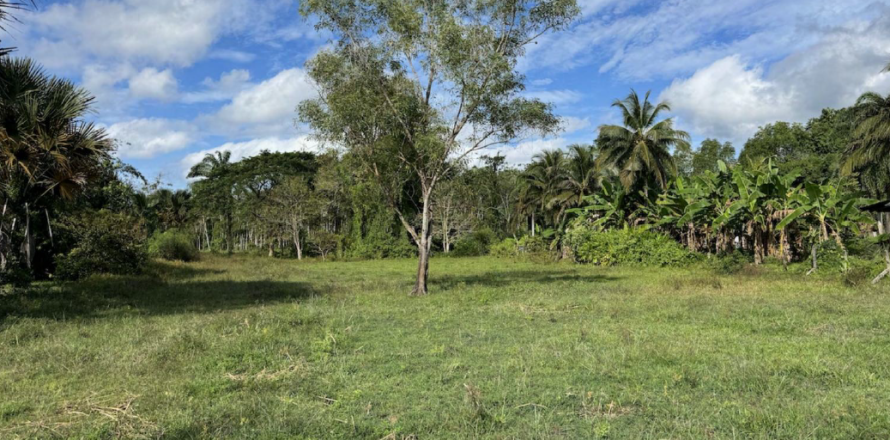 Terrain à Phuket, Thaïlande 1422 m2 № 158150