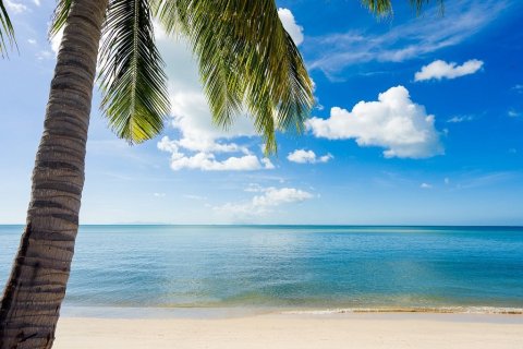 Villa in Ko Samui, Thailand 3 bedrooms № 180188 - photo 16