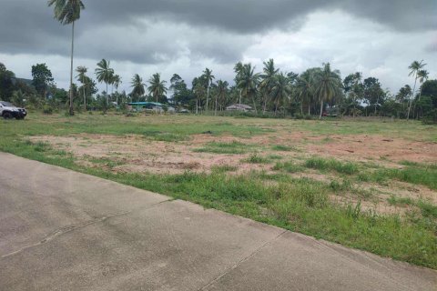 Land in Mai Khao, Thailand 4800 sq.m. № 153144 - photo 4