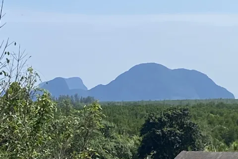 Земельный участок в Пхангнге, Таиланд 137600м2  № 171926 - фото 7