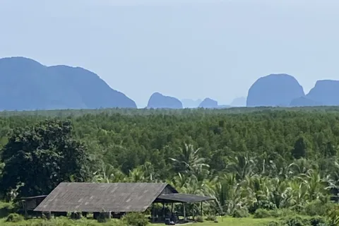 Земельный участок в Пхангнге, Таиланд 137600м2  № 171926 - фото 8