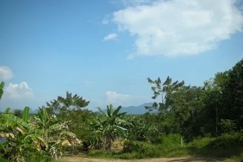 Земельный участок в Пхангнге, Таиланд 137600м2  № 171926 - фото 4