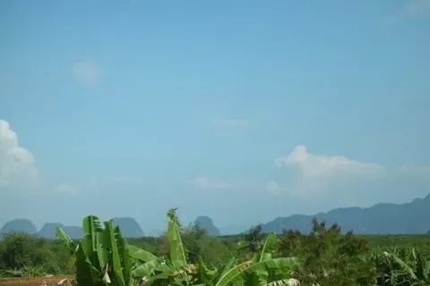 Земельный участок в Пхангнге, Таиланд 137600м2  № 171926 - фото 5