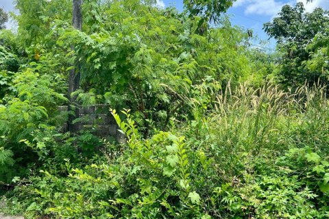 Studio in Ko Samui, Thailand № 172417 - photo 3