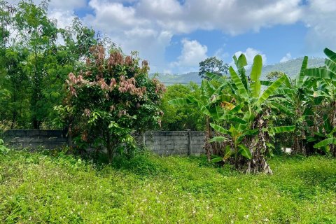 Studio in Ko Samui, Thailand № 172417