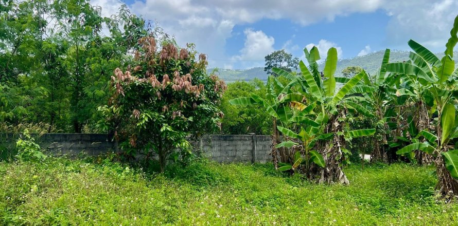 Studio in Ko Samui, Thailand № 172417