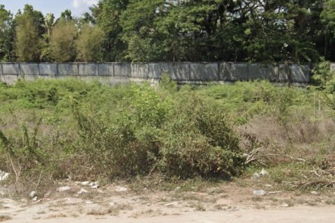 Land in Phuket, Thailand 8000 sq.m. № 154059 - photo 2