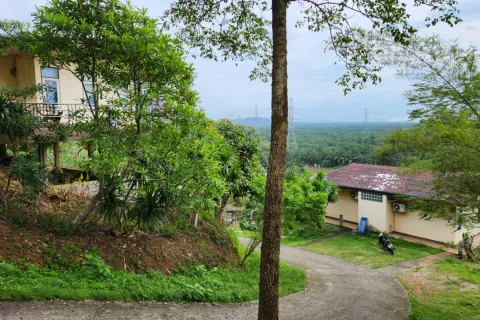 Отель в Сураттхани, Таиланд  № 163374 - фото 10