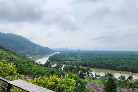 Отель в Сураттхани, Таиланд  № 163374 - фото 13