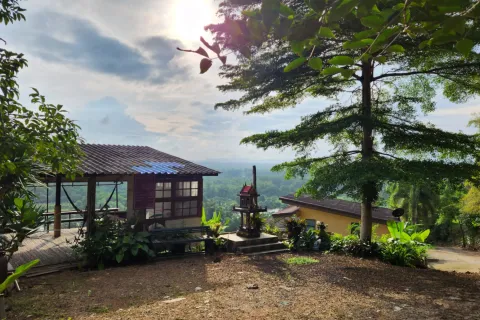 Отель в Сураттхани, Таиланд  № 163374 - фото 9