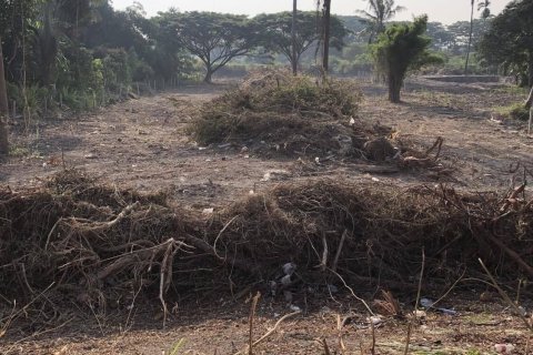 Land in Cha-am, Thailand 2800 sq.m. № 153492 - photo 3