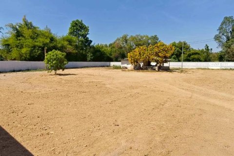 Terrain à Chon Buri, Thaïlande № 161532