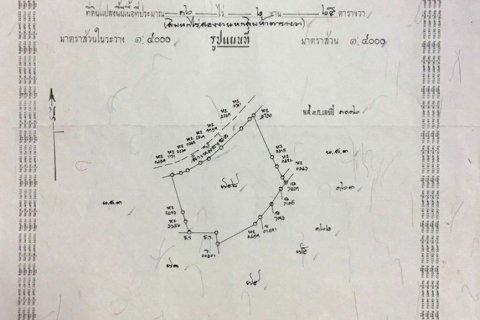 Земельный участок в Чиангмае, Таиланд № 162508 - фото 4