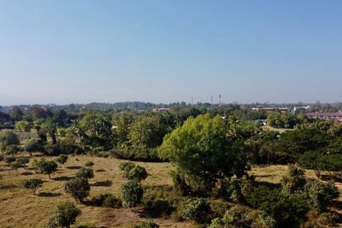 Земельный участок в Чиангмае, Таиланд № 162508 - фото 2