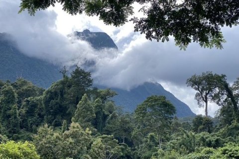 Terrain à Chiang Dao, Thaïlande 19200 m2 № 159247 - photo 7