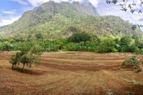 Terrain à Chiang Dao, Thaïlande 19200 m2 № 159247 - photo 9