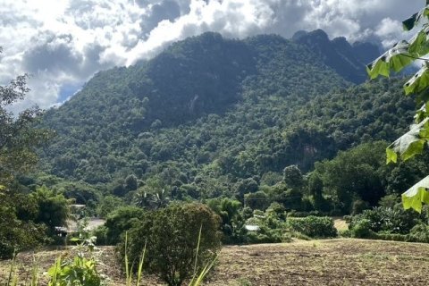 Terrain à Chiang Dao, Thaïlande 19200 m2 № 159247 - photo 8