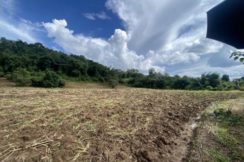 Terrain à Chiang Dao, Thaïlande 19200 m2 № 159247 - photo 5