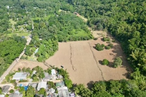 Terrain à Chiang Dao, Thaïlande 19200 m2 № 159247 - photo 2