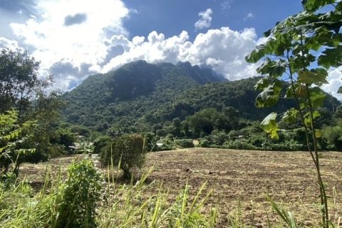Terrain à Chiang Dao, Thaïlande 19200 m2 № 159247
