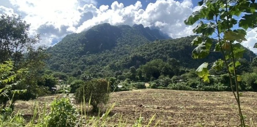 Terrain à Chiang Dao, Thaïlande 19200 m2 № 159247