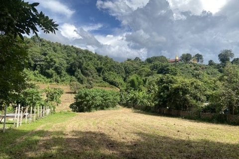Terrain à Chiang Dao, Thaïlande 19200 m2 № 159247 - photo 4