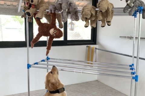 Таунхаус в Кату, Таиланд с 2 спальнями  № 147900 - фото 21