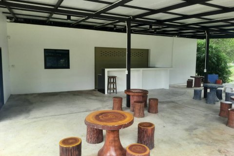 Maison à Buriram, Thaïlande 7 chambres № 137078 - photo 28