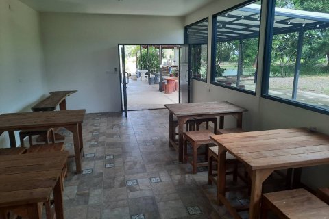 Maison à Buriram, Thaïlande 7 chambres № 137078 - photo 26