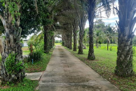 Maison à Buriram, Thaïlande 7 chambres № 137078 - photo 7