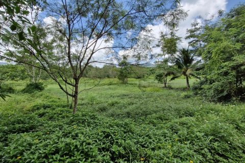 Land in Ko Samui, Thailand 4800 sq.m. № 171623 - photo 4