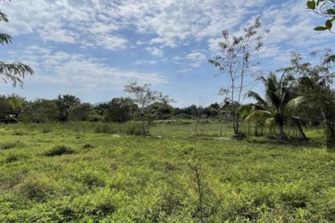 Land in Ko Samui, Thailand 4800 sq.m. № 171623 - photo 3