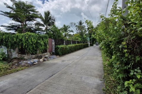 Land in Ko Samui, Thailand 4800 sq.m. № 171623 - photo 5