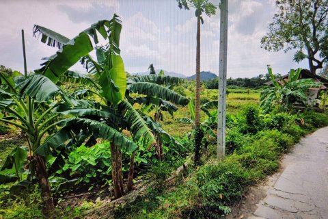 Land in Ko Samui, Thailand 4800 sq.m. № 171623 - photo 2