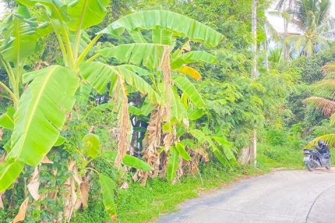 Land in Ko Samui, Thailand 4800 sq.m. № 171623 - photo 7