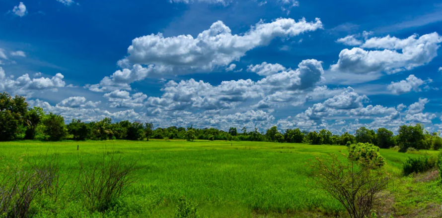 Земельный участок в Убонратчатхани, Таиланд 9600м2  № 171105