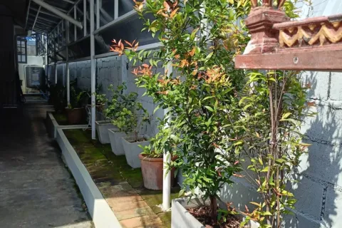 Maison à Chiang Mai, Thaïlande 3 chambres № 154397 - photo 6