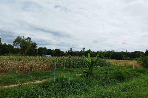 Terrain à Suphanburi, Thaïlande 19200 m2 № 154395 - photo 6