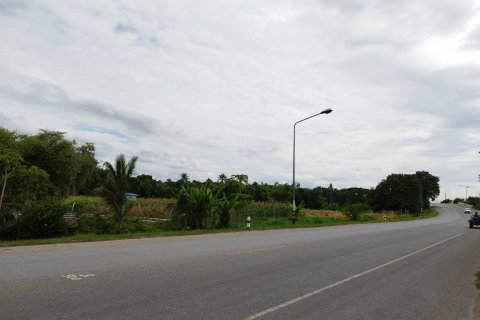 Terrain à Suphanburi, Thaïlande 19200 m2 № 154395 - photo 4