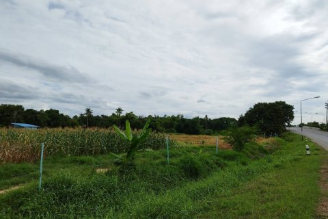 Terrain à Suphanburi, Thaïlande 19200 m2 № 154395 - photo 2