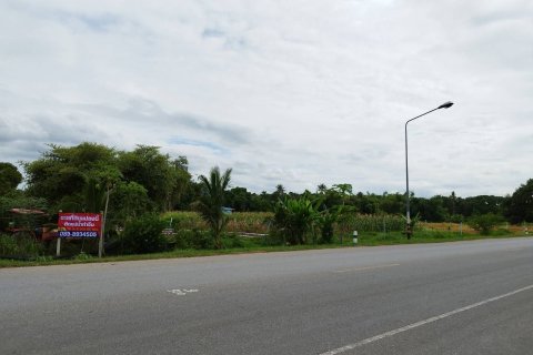 Terrain à Suphanburi, Thaïlande 19200 m2 № 154395 - photo 3