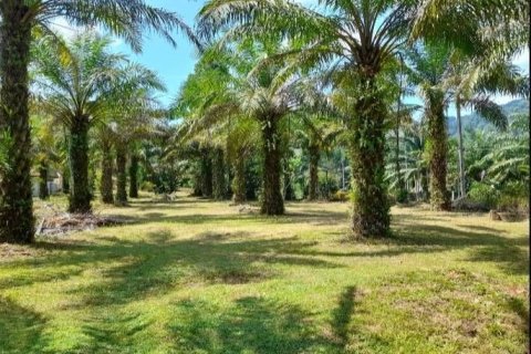 Земельный участок в Пхангнге, Таиланд 32000м2  № 164108 - фото 2