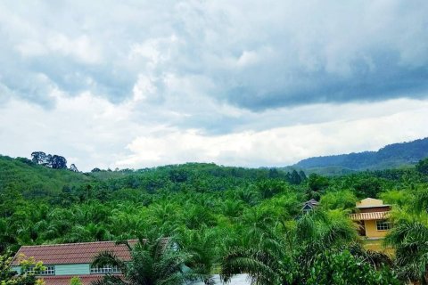 Земельный участок в Пхангнге, Таиланд 32000м2  № 164108 - фото 3