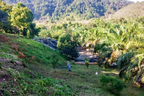 Земельный участок в Пхангнге, Таиланд 32000м2  № 164108 - фото 4