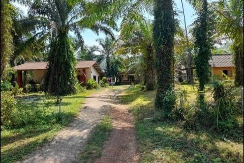 Земельный участок в Пхангнге, Таиланд 32000м2  № 164108