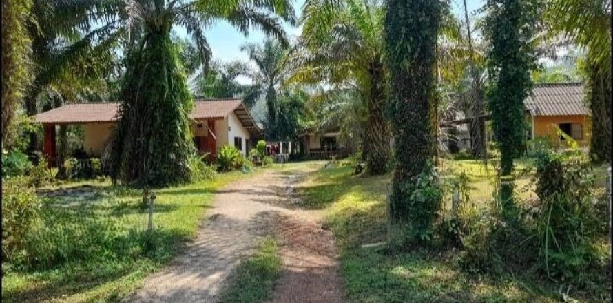 Земельный участок в Пхангнге, Таиланд 32000м2  № 164108