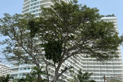 Estudio en el condominio en Jomtien Beach, Pattaya, Tailandia № 211407 - foto 19