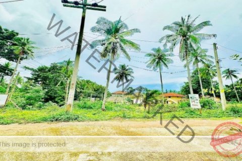 Haus in Ko Samui, Thailand 20 Zimmer № 222202 - Foto 8